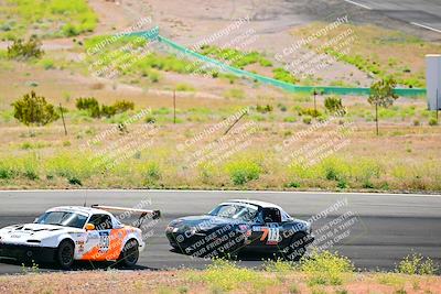 media/May-05-2024-Lucky Dog Racing (Sun) [[8a365fce5b]]/1030am-Turn 3/